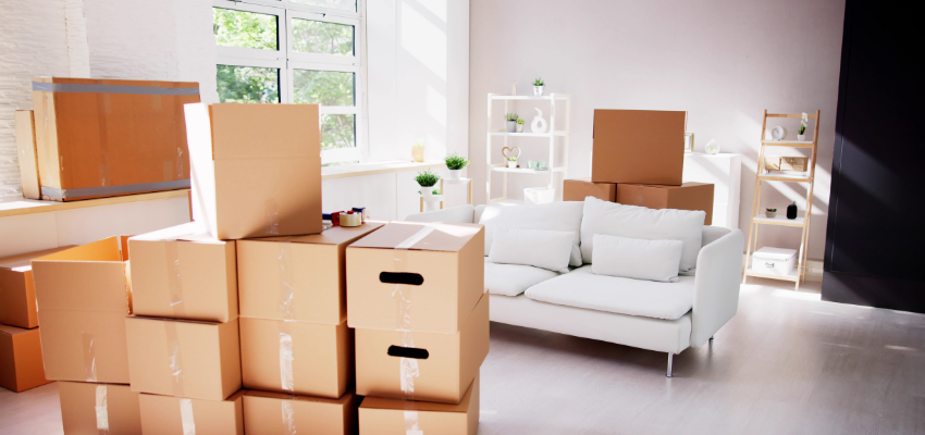 Packing and Moving Services